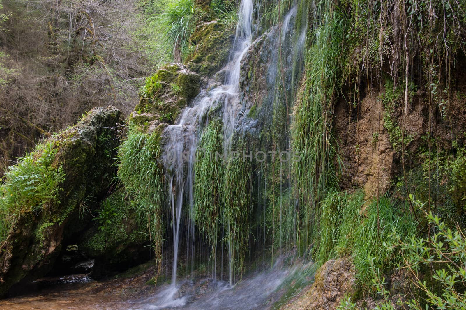 charmine,samognat,ain,france