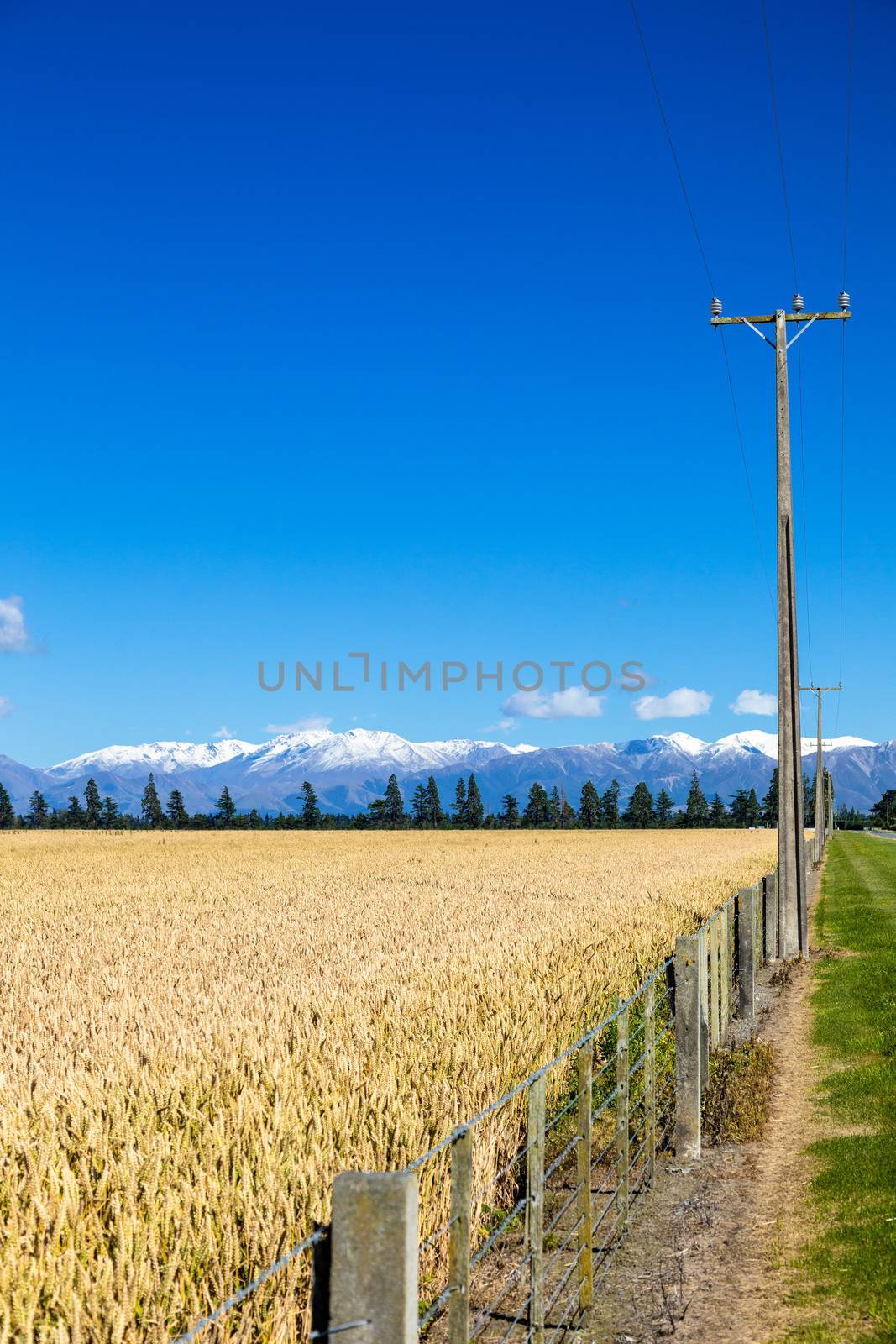 An image of Mount Taylor and Mount Hutt scenery in south New Zealand scenery in south New Zealand