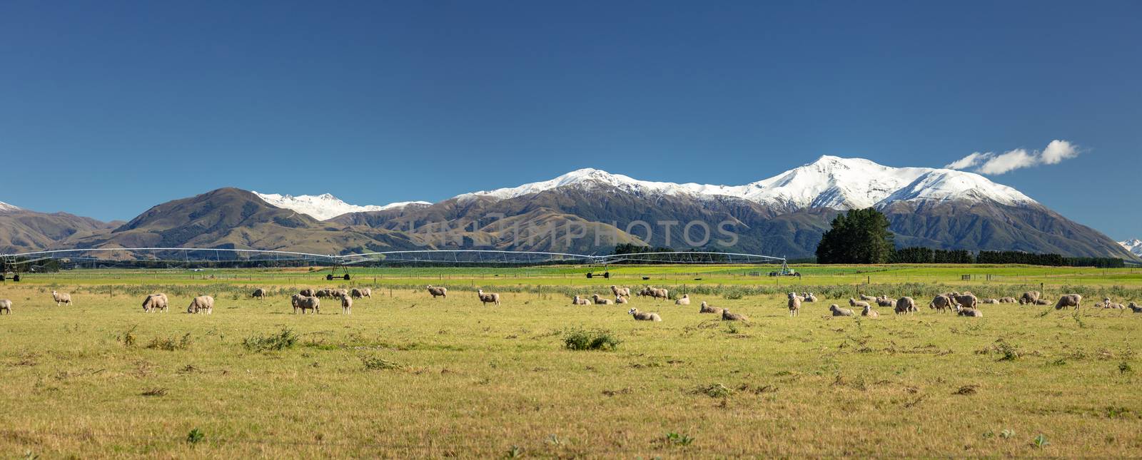 Mount Taylor and Mount Hutt scenery in south New Zealand by magann