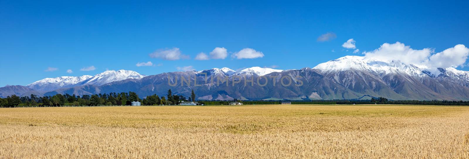 Mount Taylor and Mount Hutt scenery in south New Zealand by magann