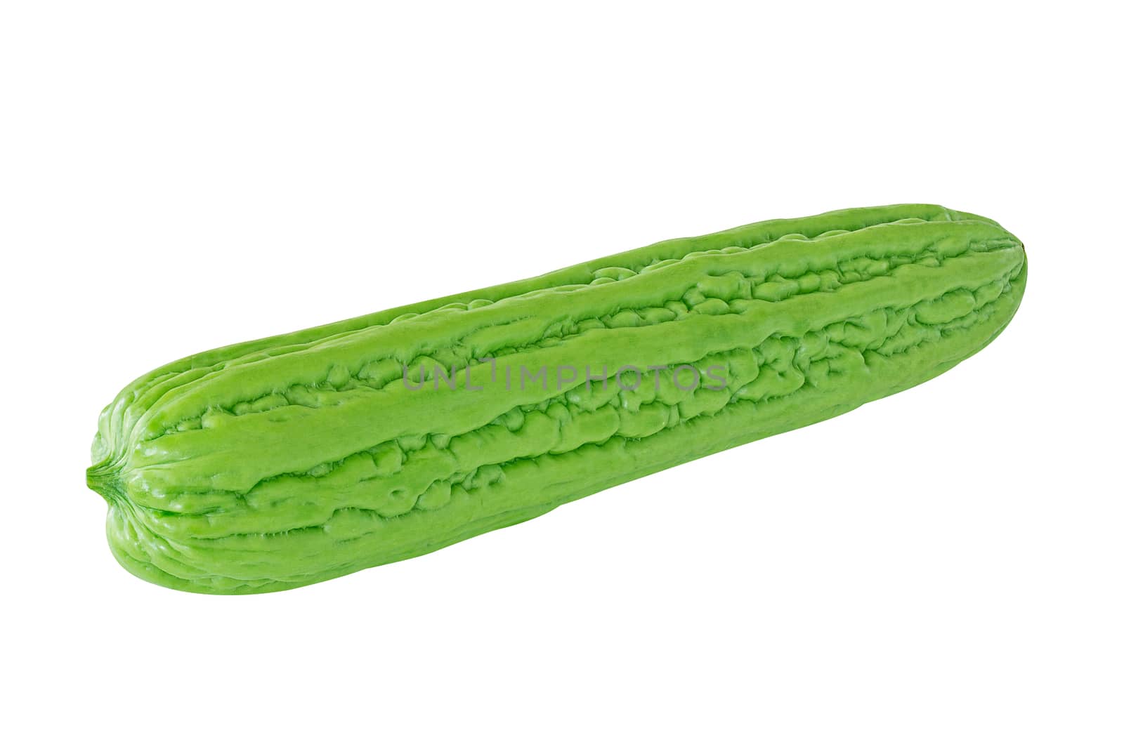 Isolate balsam apple, balsam pear, bitter cucumber, bitter gourd, bitter melon on white background 