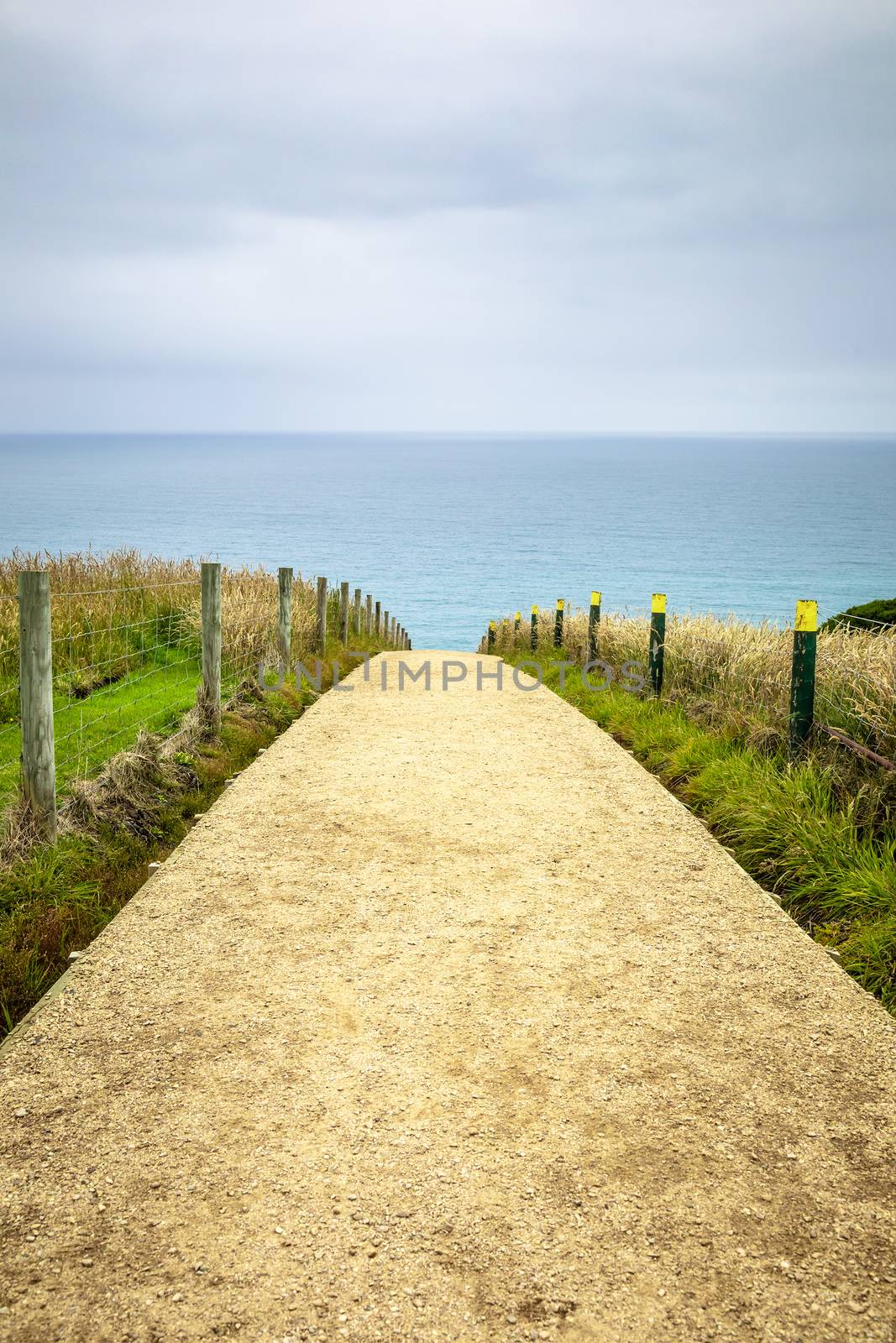 Path to Tunnel Beach New Zealand by magann
