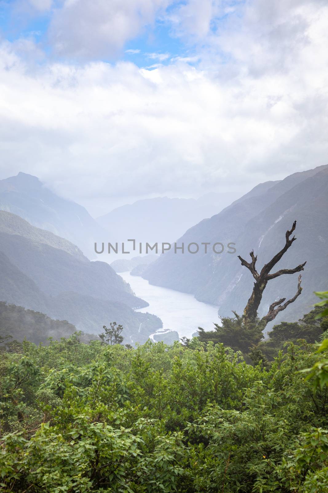 An image of the Fiordland National Park New Zealand