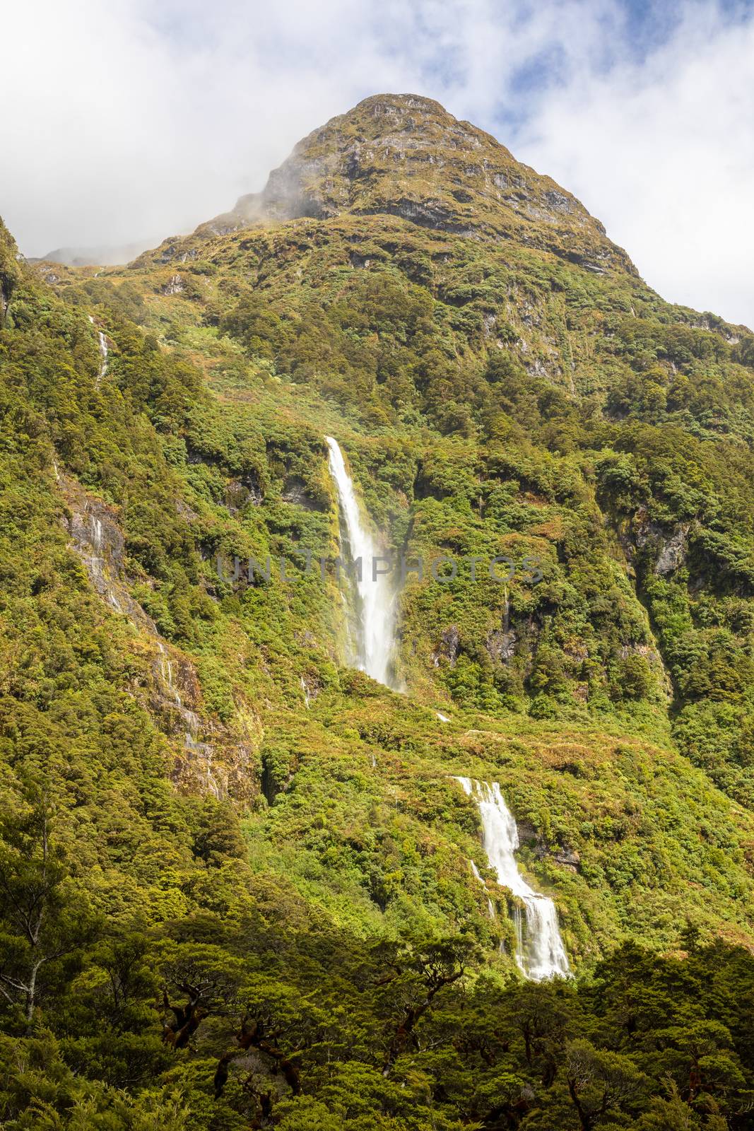 Fiordland National Park New Zealand by magann