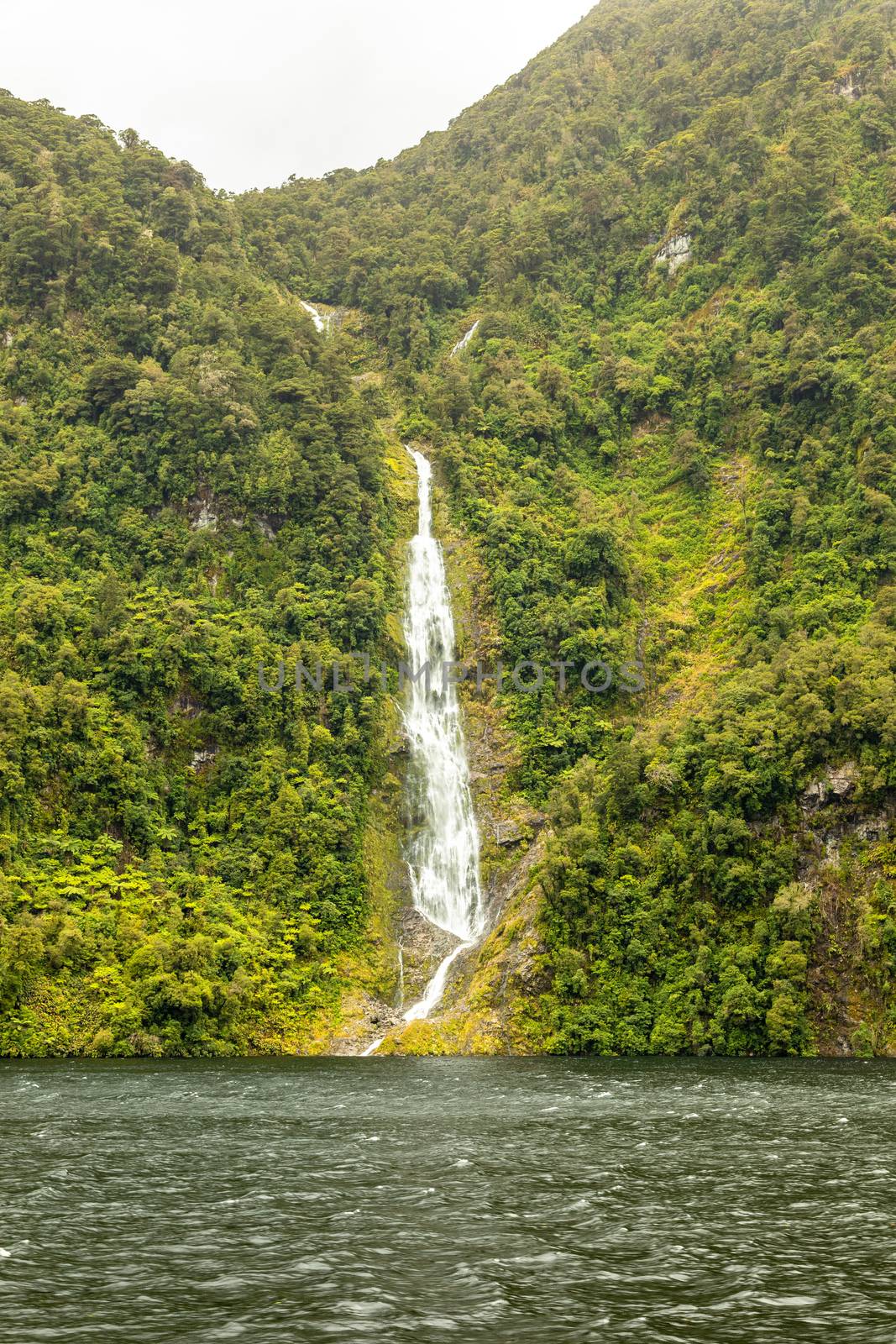Fiordland National Park New Zealand by magann