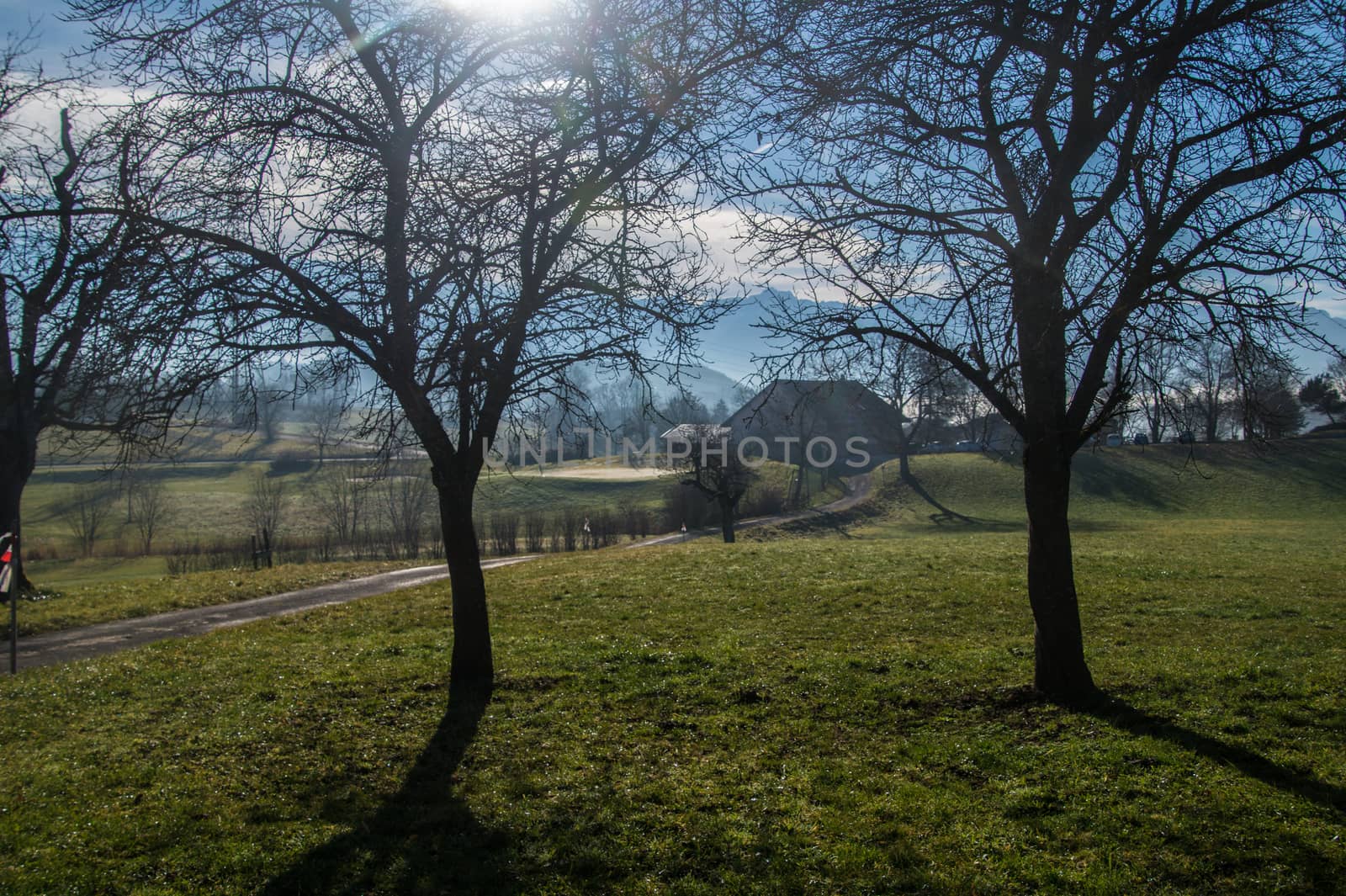 cully,vaud,swiss