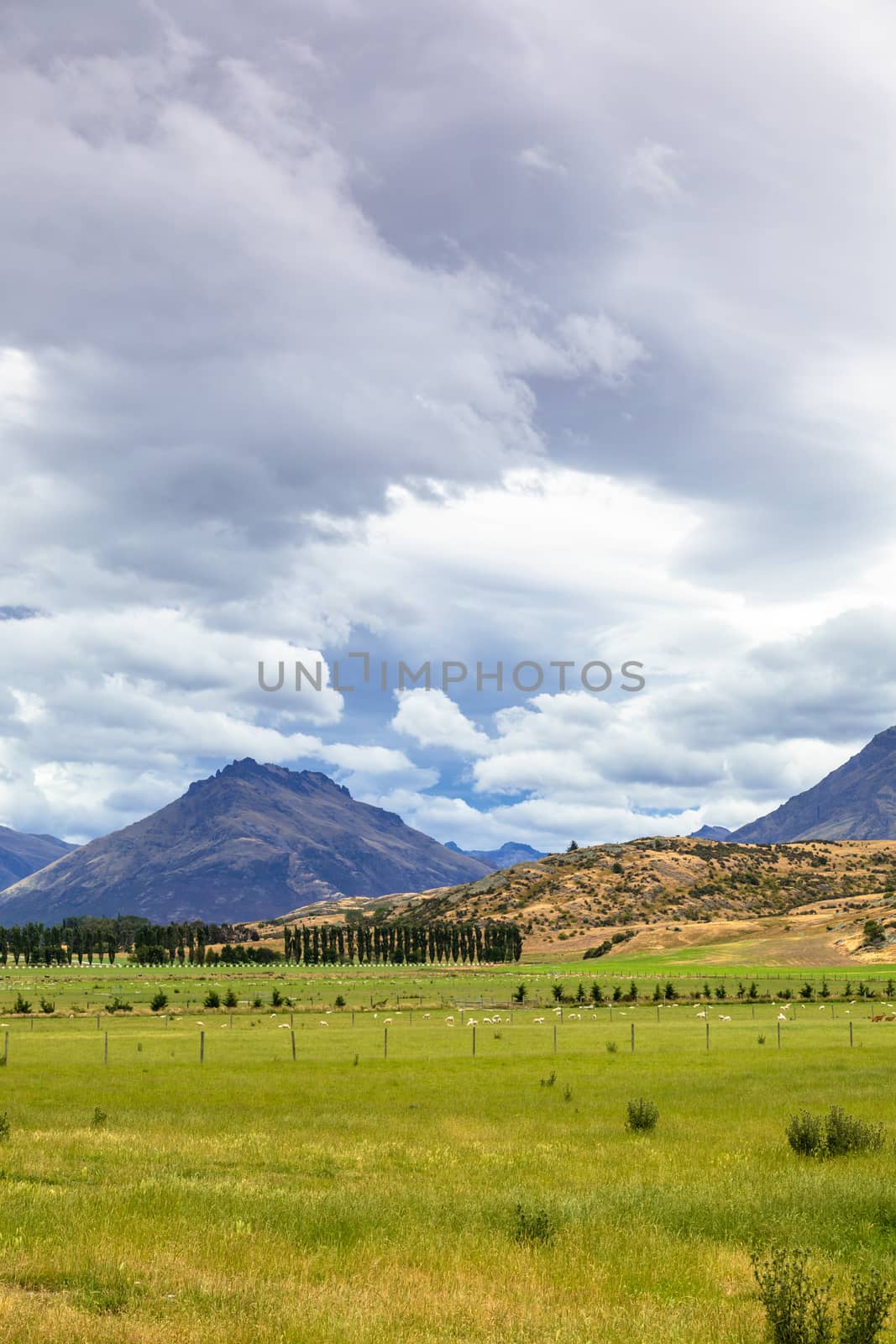 Landscape scenery in south New Zealand by magann