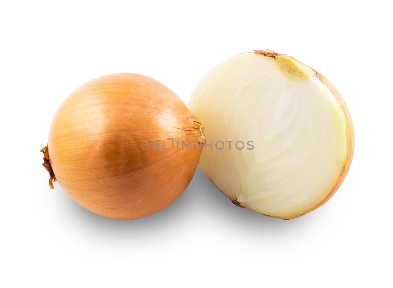 Fresh onion on white background, organic onion