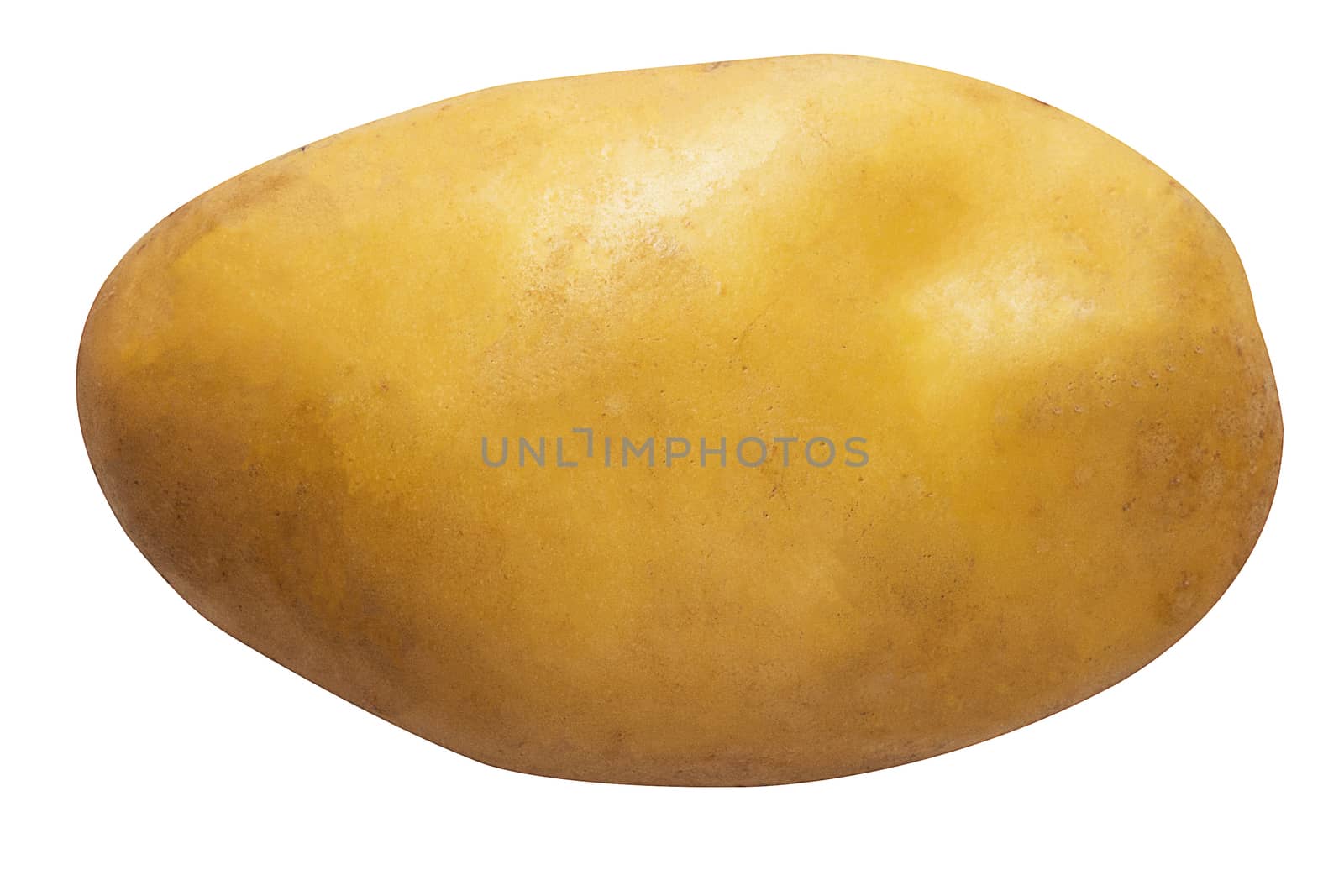 Isolate fresh potato on white background 