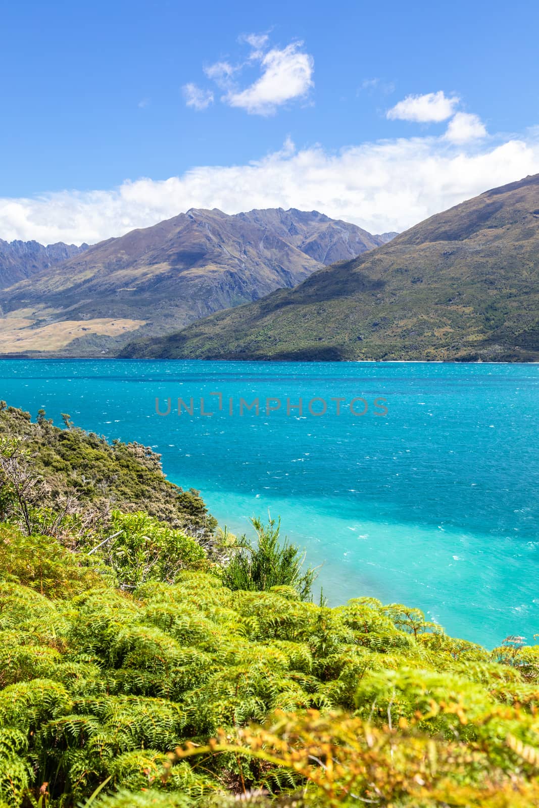 An image of the lake Wanaka; New Zealand south island