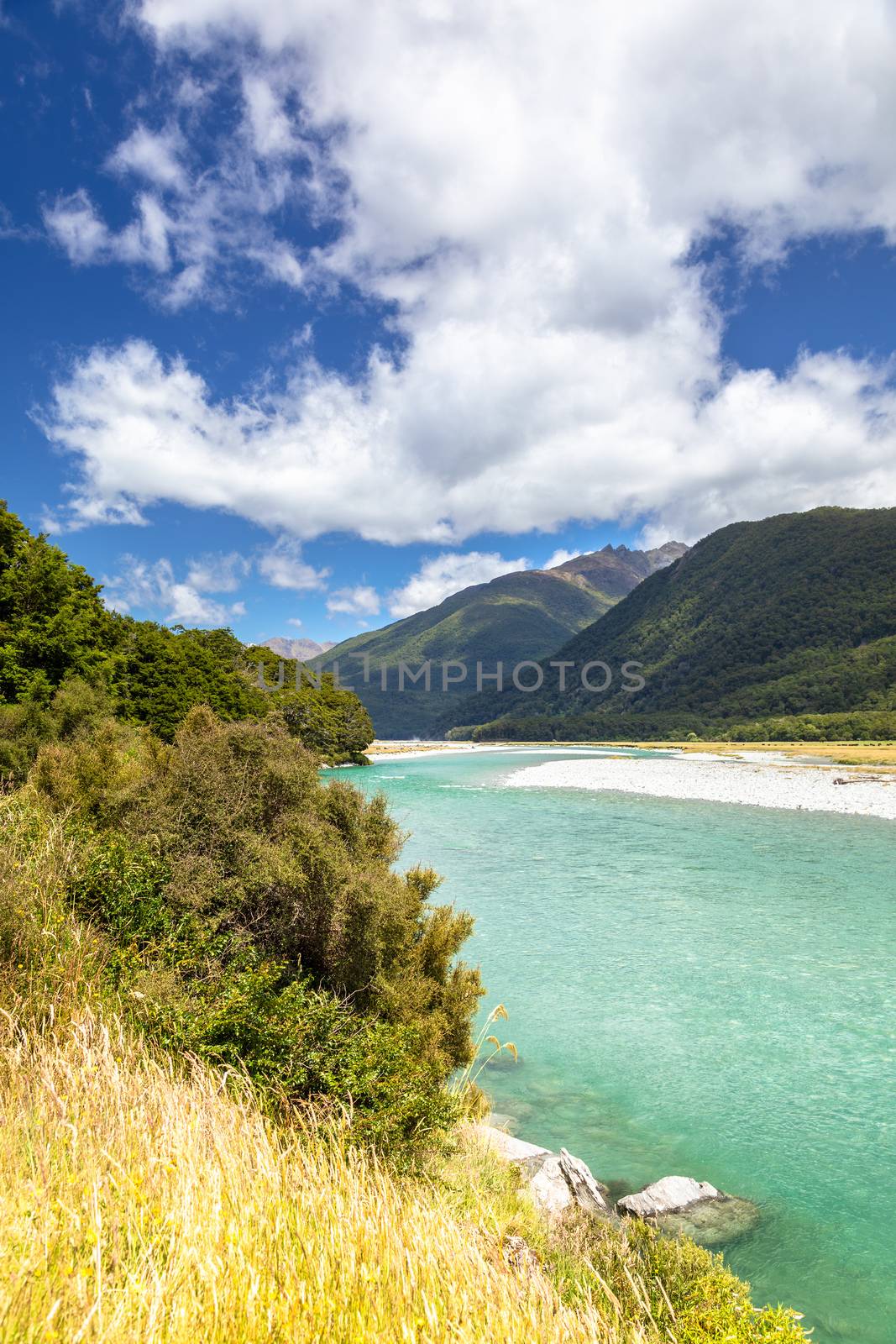 An image of the Haast River Landsborough Valley New Zealand