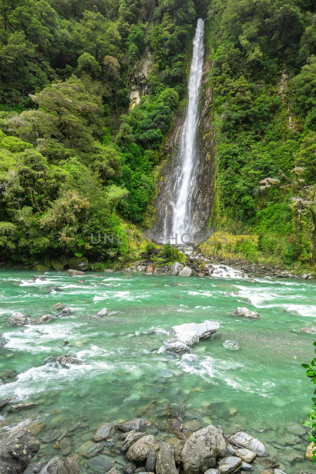 An image of the Thunder Creek Falls, New Zealand
