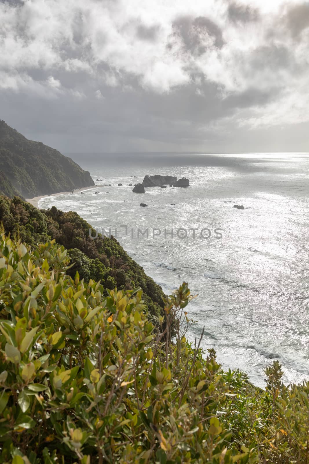 An image of a rough coast at New Zealand south