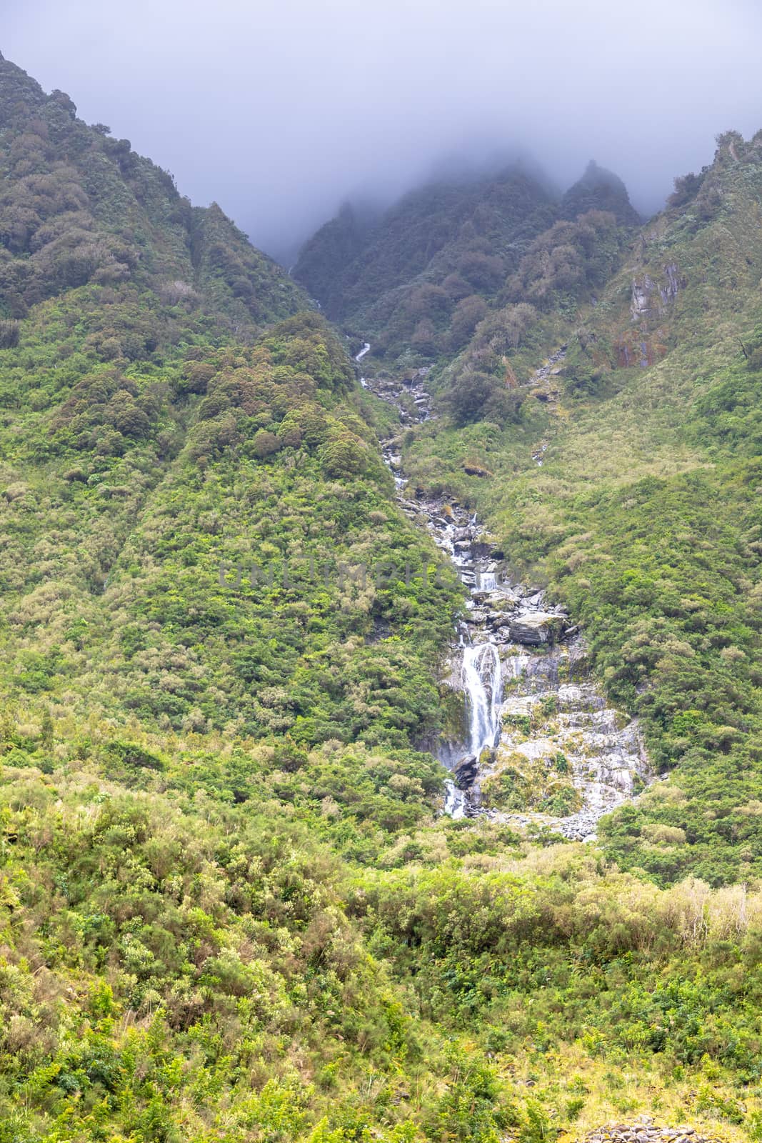 Riverbed of the Franz Josef Glacier, New Zealand by magann