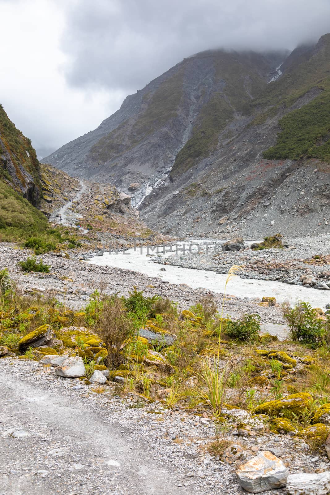 Riverbed of the Franz Josef Glacier, New Zealand by magann