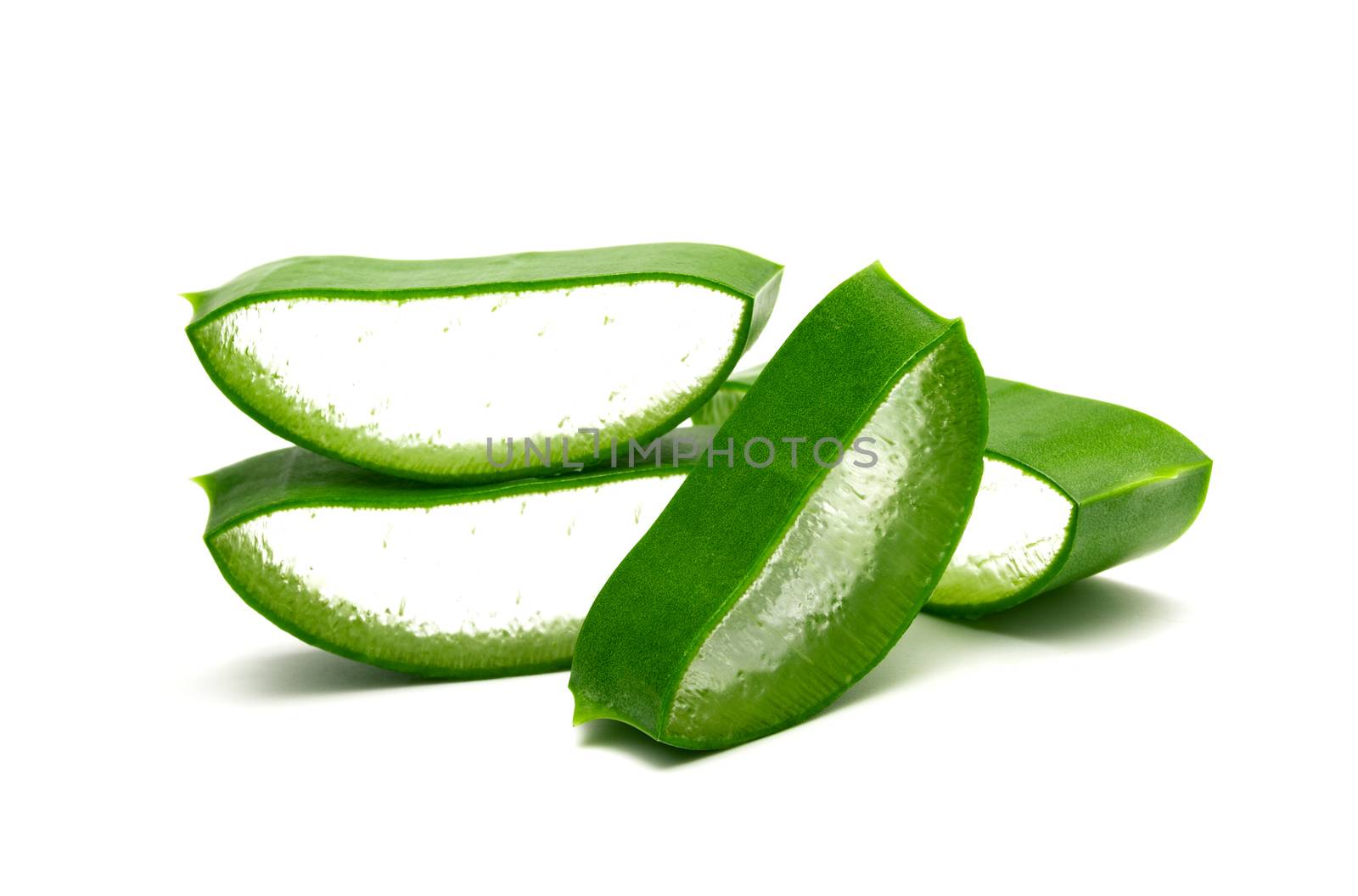 Fresh aloe vera isolated on a white background.