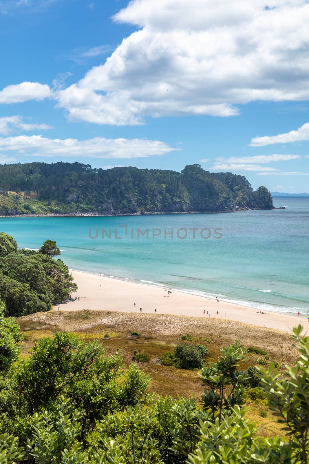 An image of the hot springs beach New Zealand Coromandel