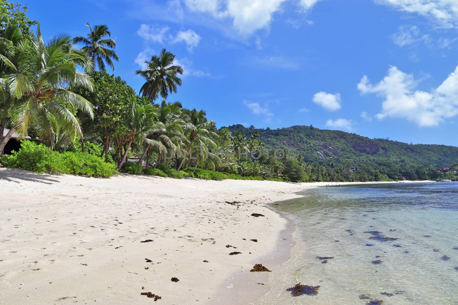 Sunny day beach view on the paradise islands Seychelles.