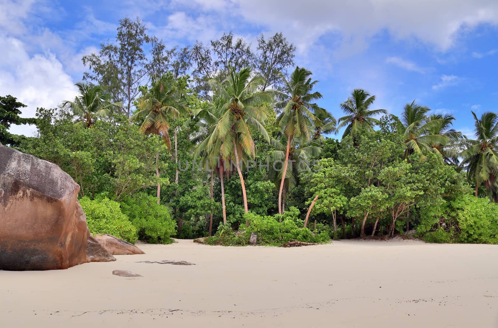 Sunny day beach view on the paradise islands Seychelles.