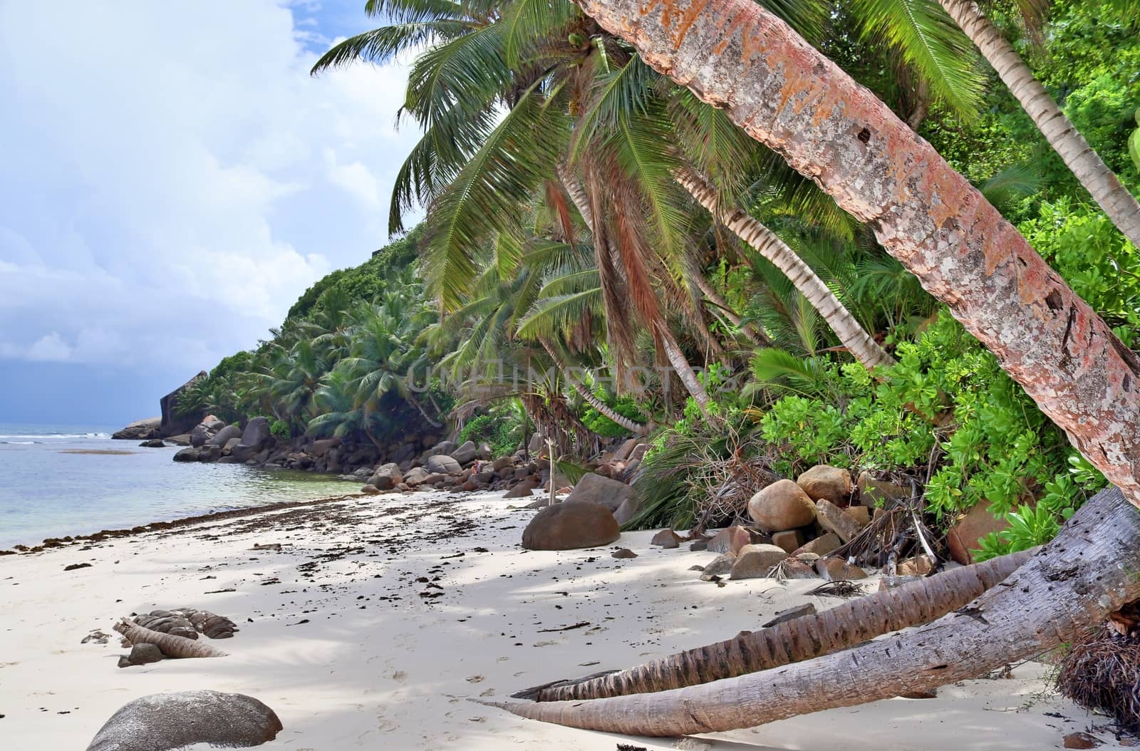 Sunny day beach view on the paradise islands Seychelles.