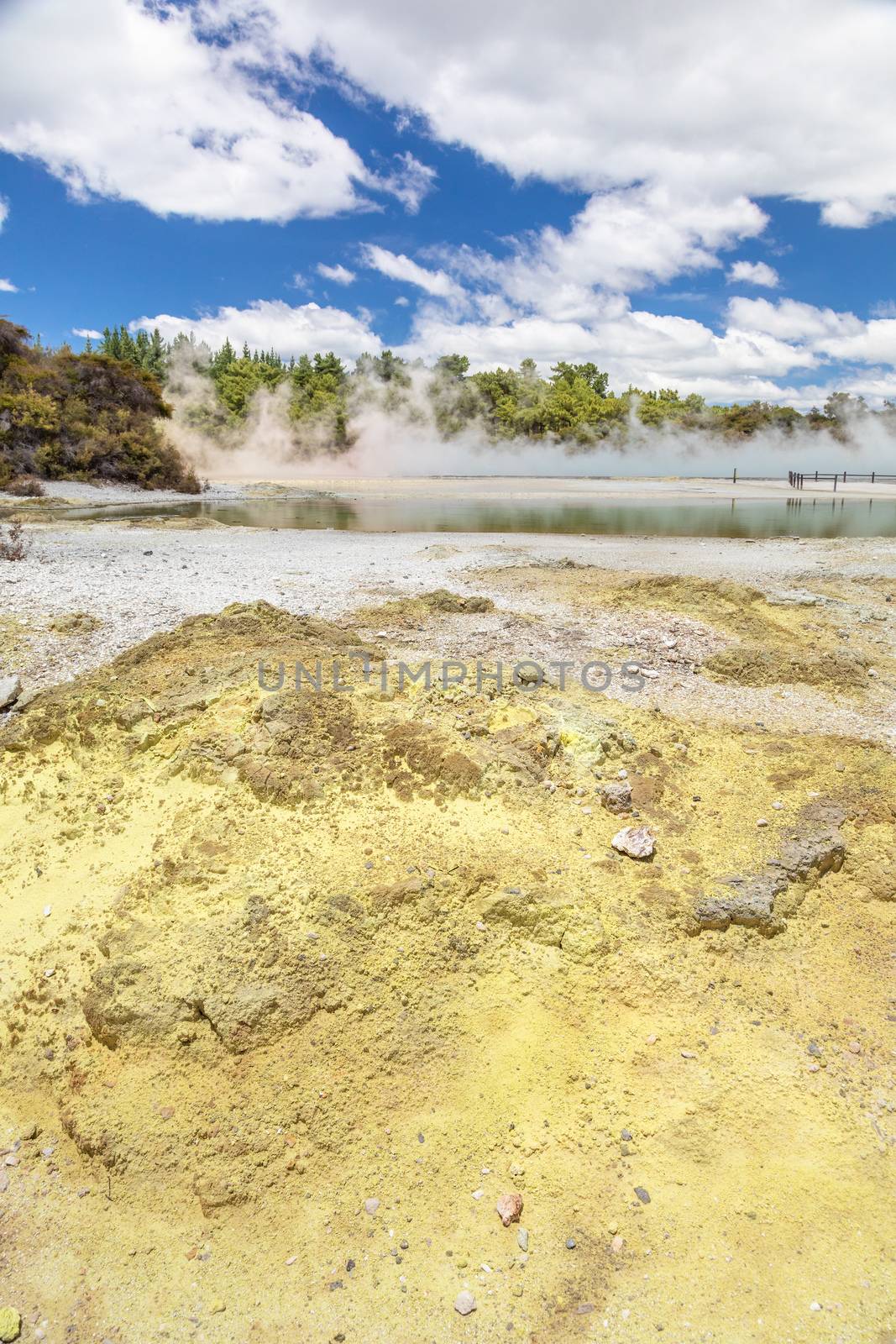 An image of geothermal activity at Rotorua in New Zealand