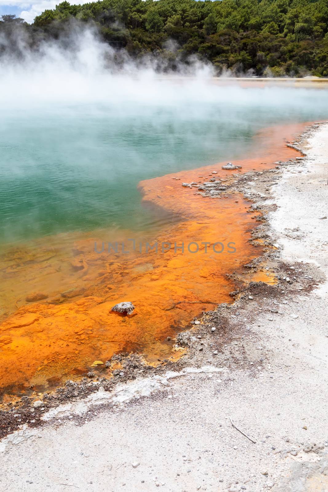 An image of the hot sparkling lake in New Zealand