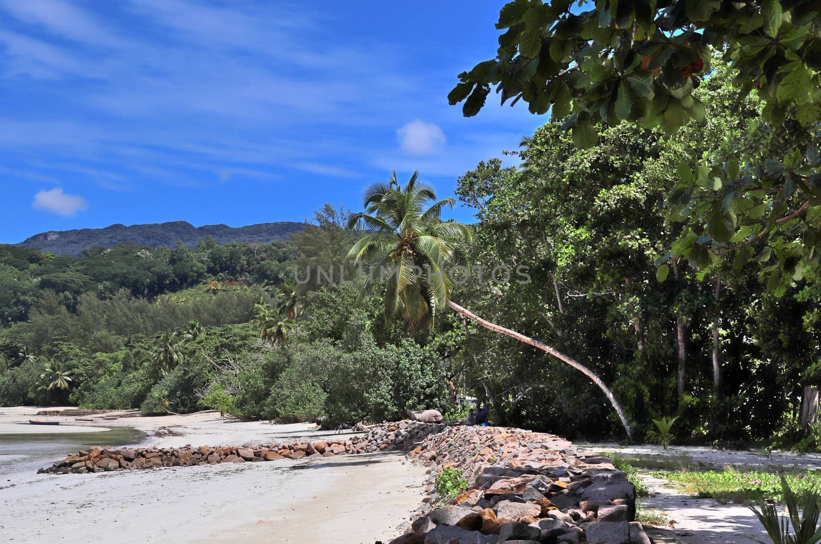 Sunny day beach view on the paradise islands Seychelles.