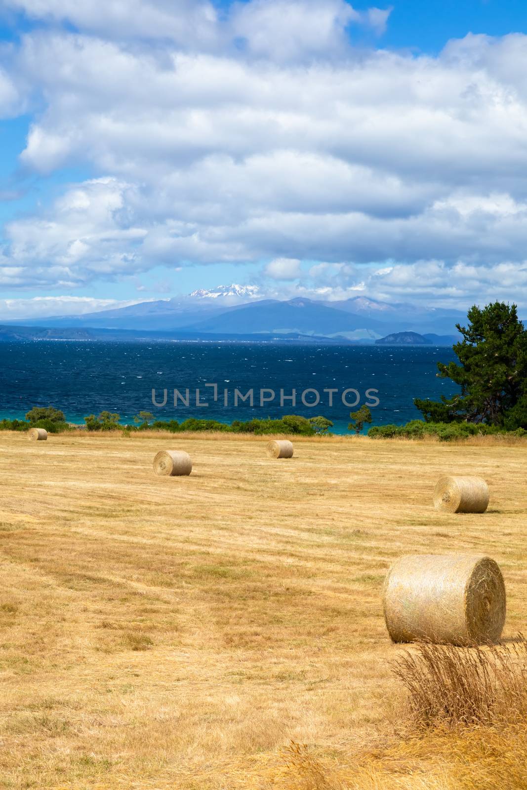 ocean landscape scenery background by magann