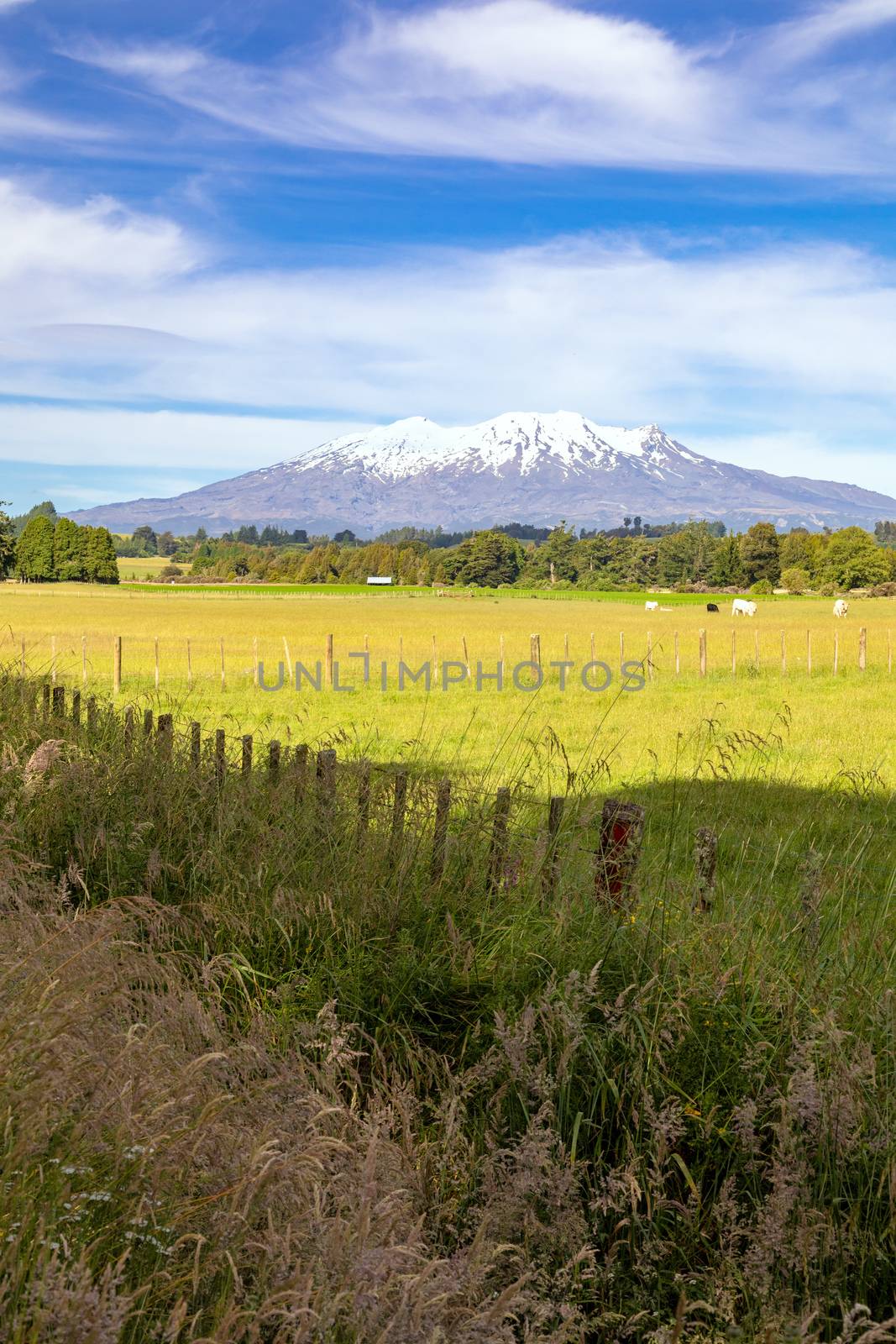 Mount Ruapehu volcano in New Zealand by magann