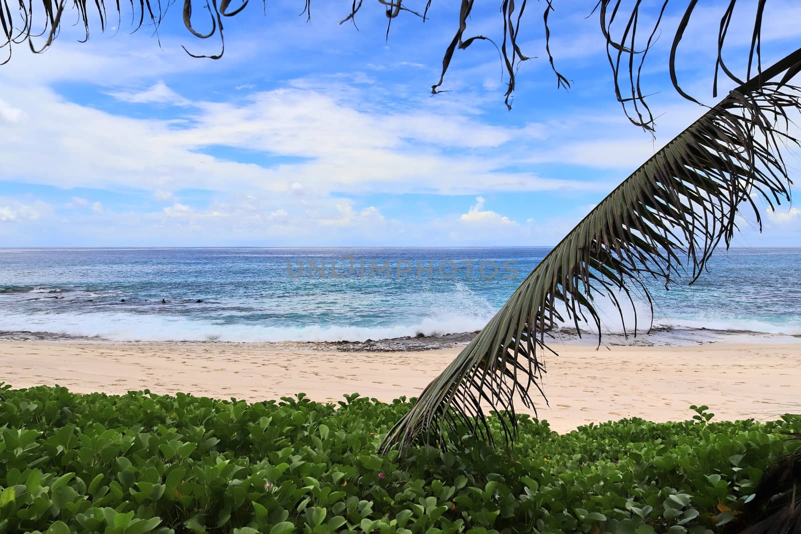 Sunny day beach view on the paradise islands Seychelles.