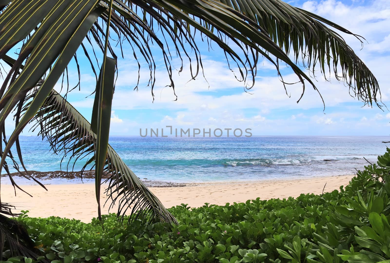 Sunny day beach view on the paradise islands Seychelles.