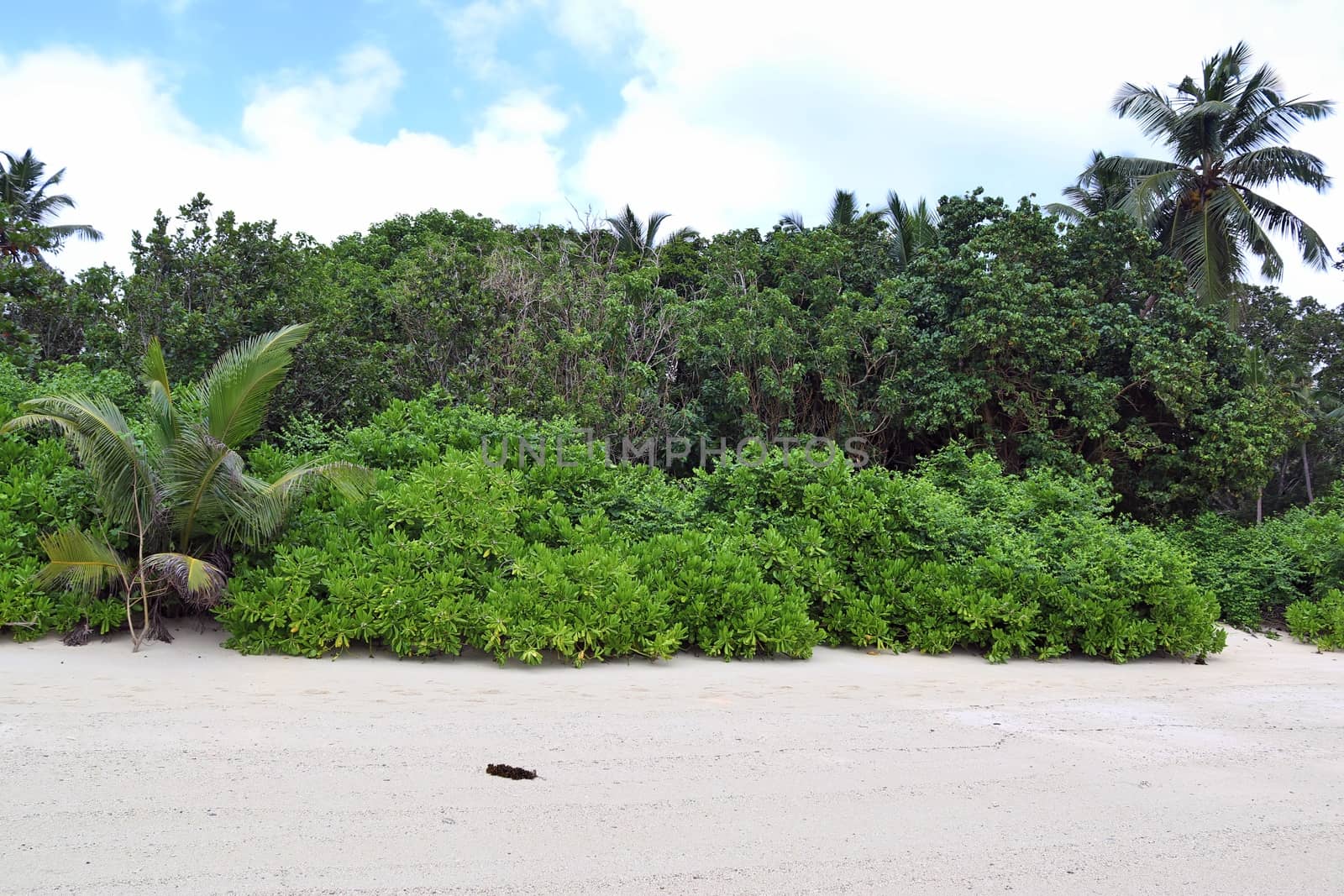 Sunny day beach view on the paradise islands Seychelles.