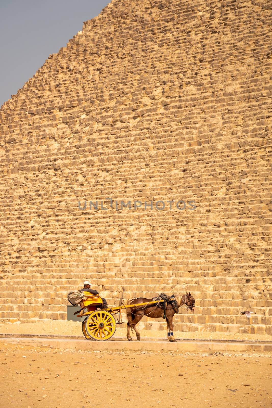 An image of a horse driver at the pyramids of Giza Cairo Egypt waiting for a tourist
