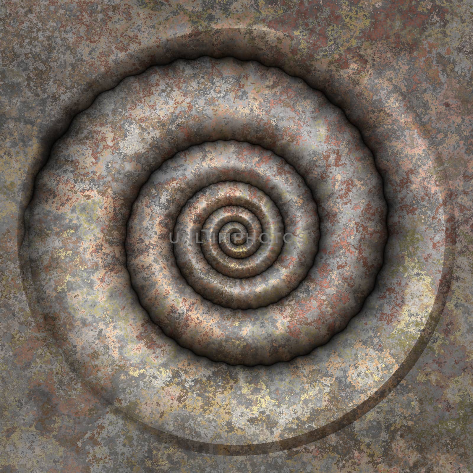 petrification spiral by magann