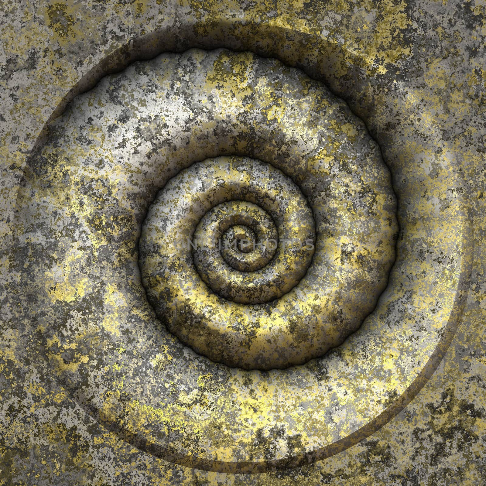 petrification spiral by magann