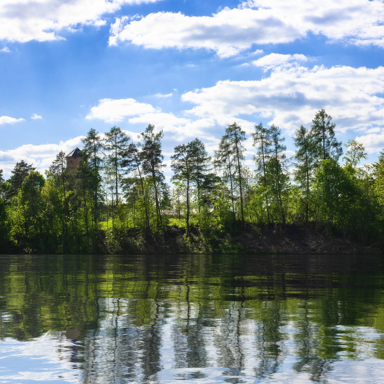 An image of a lake with trees nature rural background