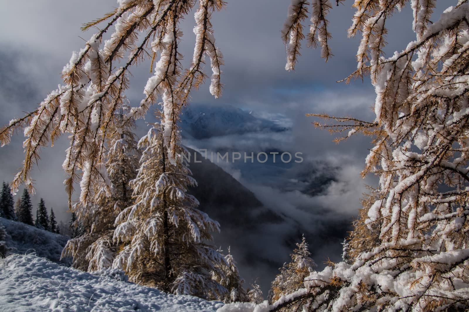 pecleret,chamonix,haute savoie,france