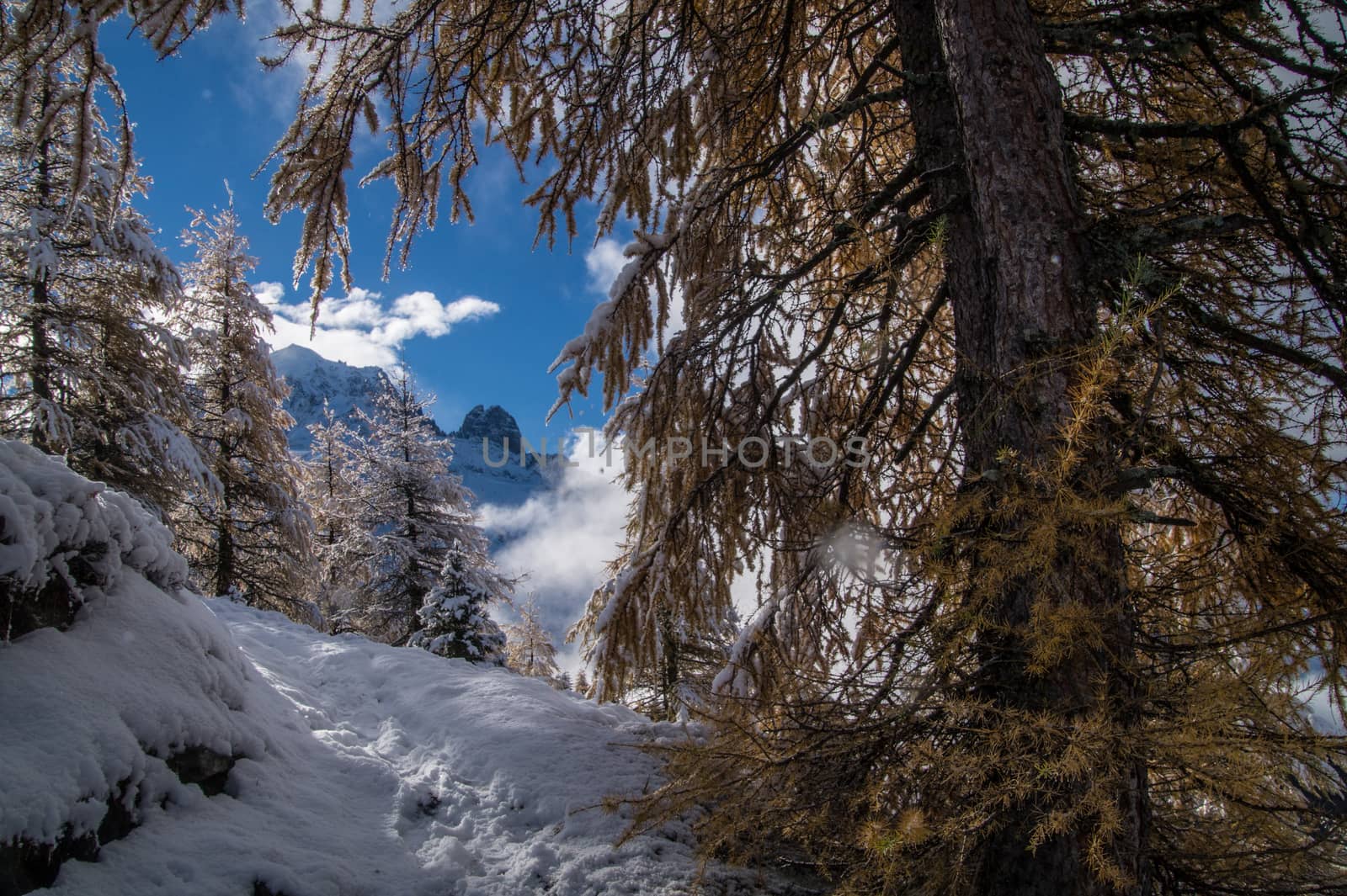 pecleret,chamonix,haute savoie,france