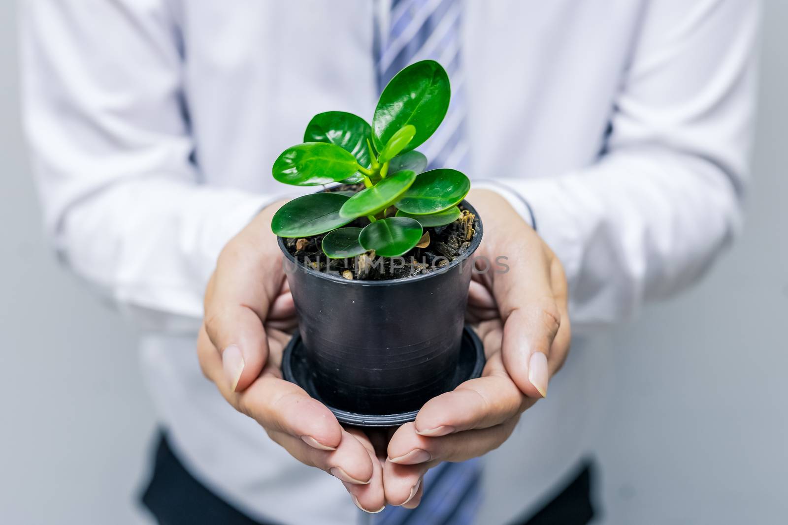 Image of young office man holding potted plants, concept of planting trees in love with the world