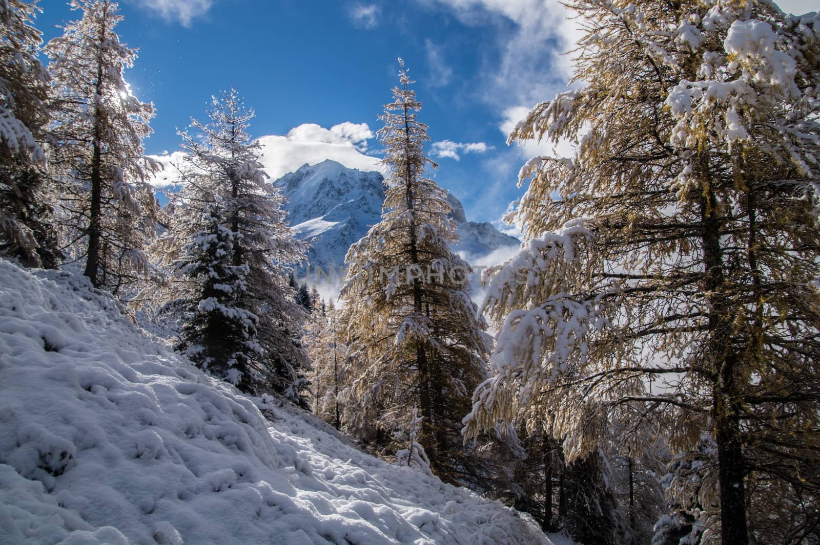 pecleret,chamonix,haute savoie,france