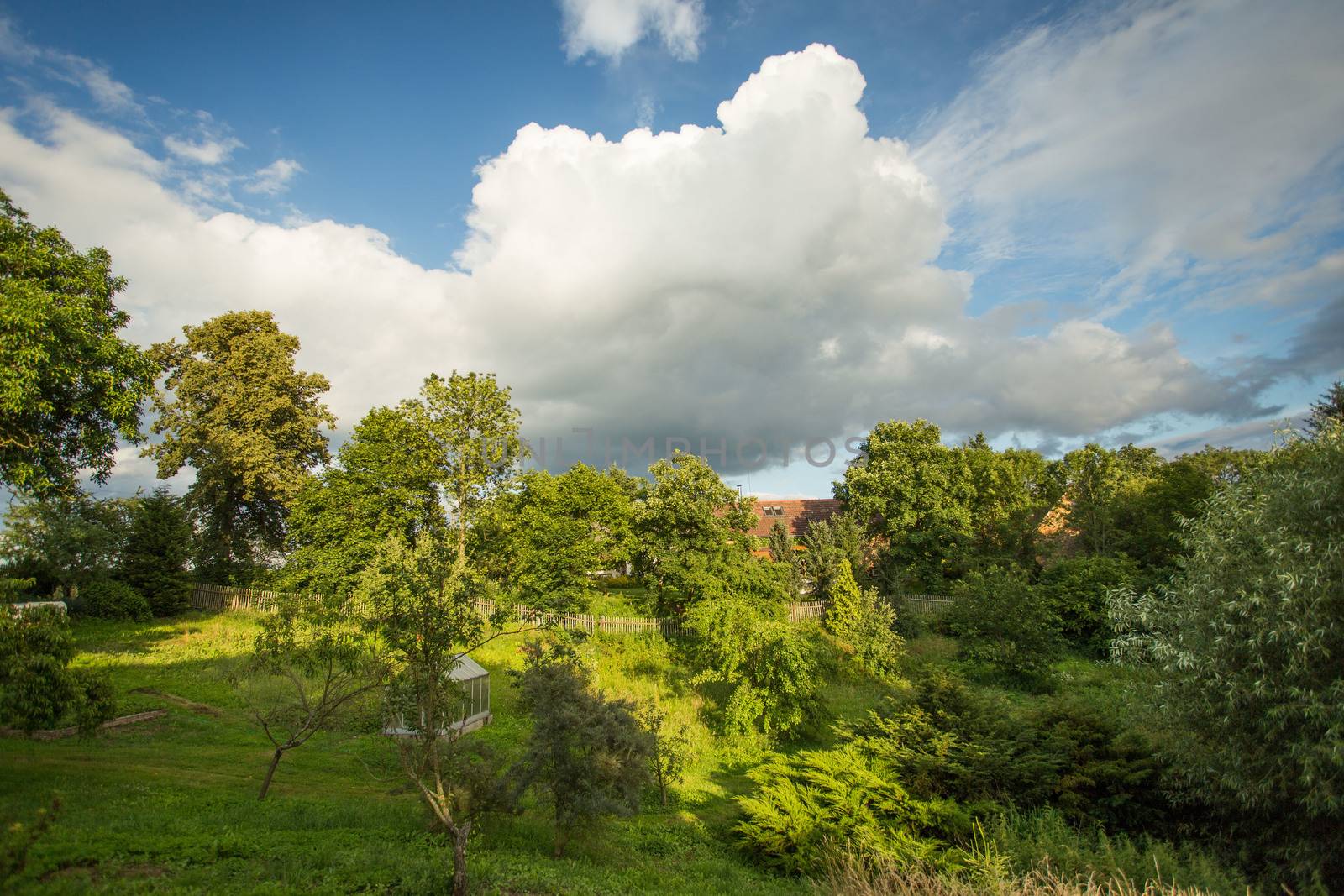 Scenic Summertime View of a Beautiful European rural Landscape Garden with a Green Lawn, Leafy Trees and nice sky with cluds