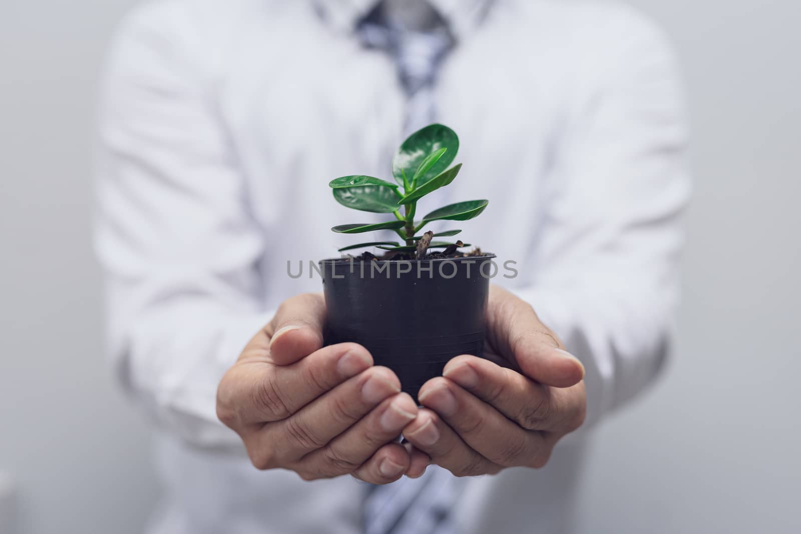 Image of young office man holding potted plants, concept of planting trees in love with the world