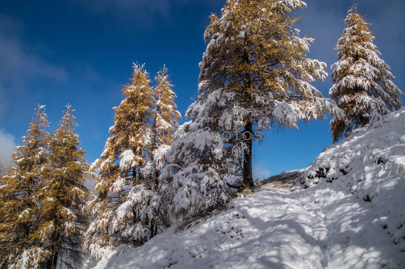 pecleret,chamonix,haute savoie,france