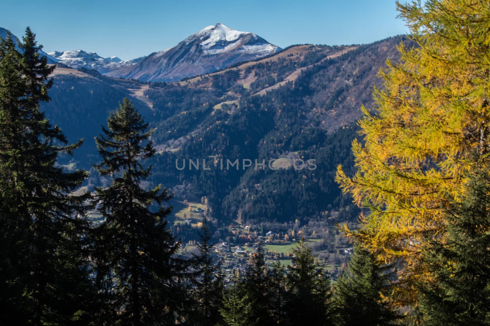 la flatiere,chamonix,haute savoie ,france