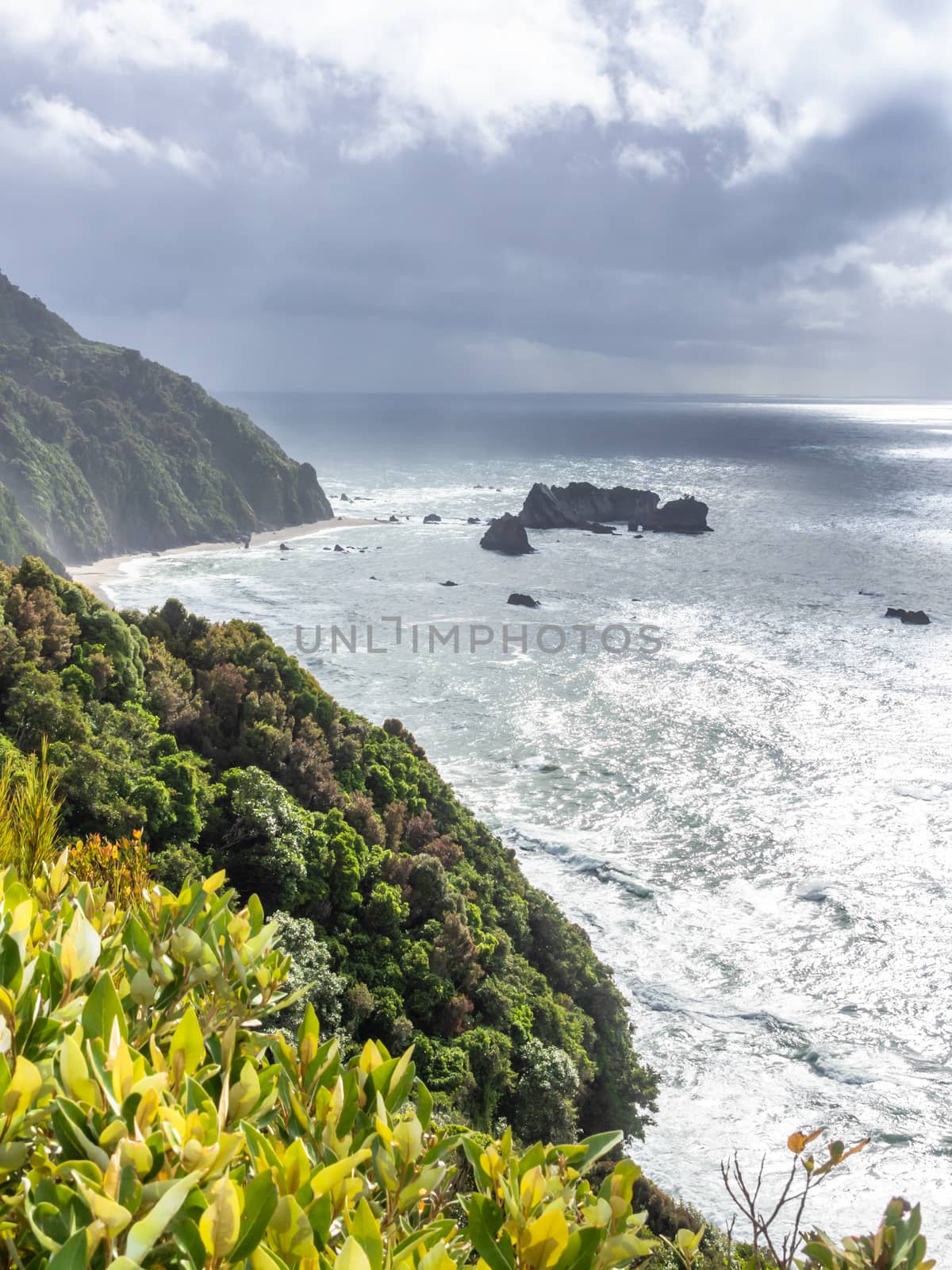 rough coast at south island New Zealand by magann