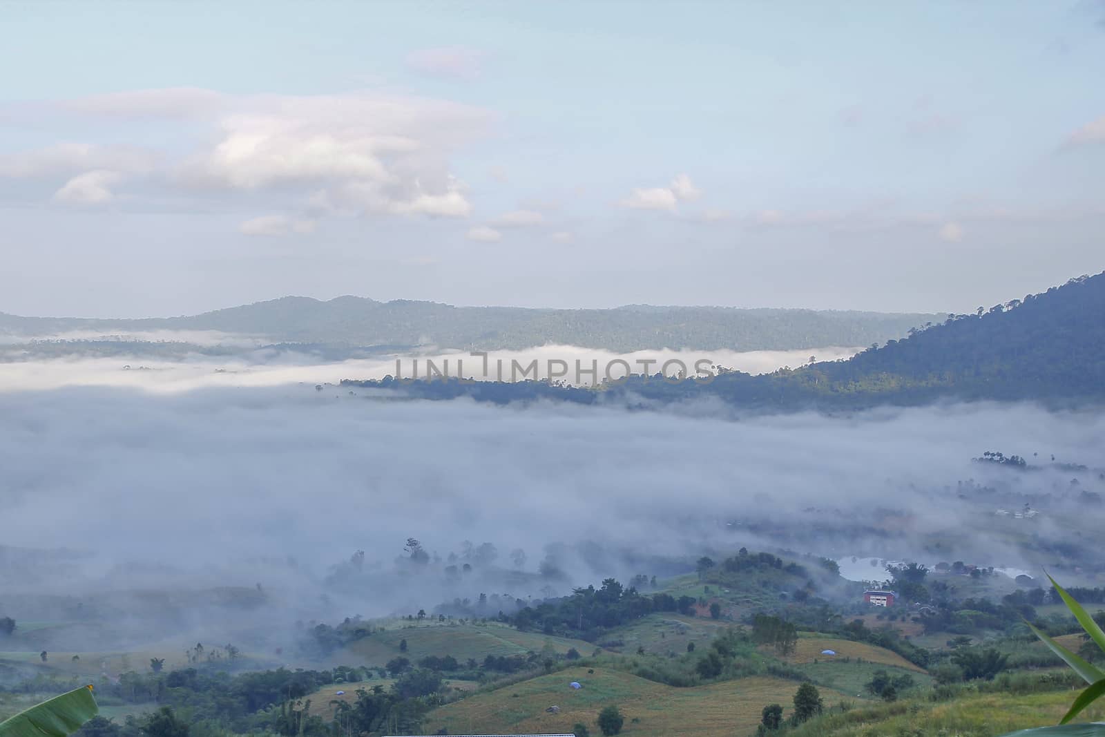 Sea of fog in Khao Kho at thailand by pumppump