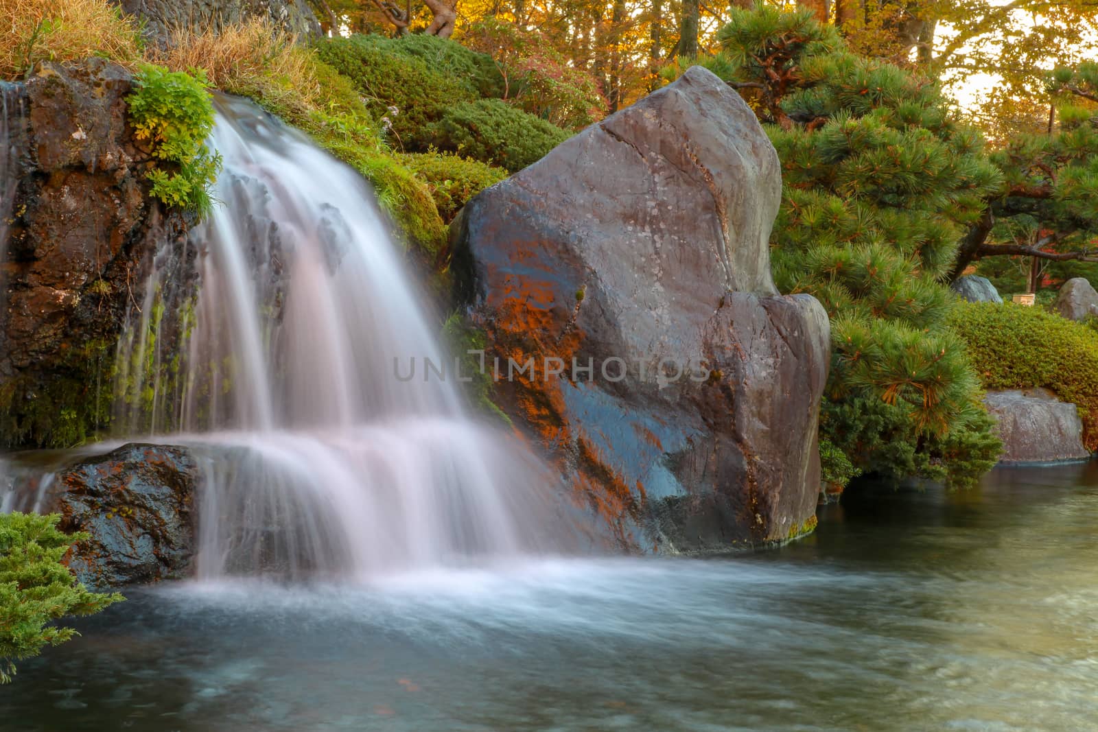 Close up beautiful waterfall in autumn at japan  by pumppump