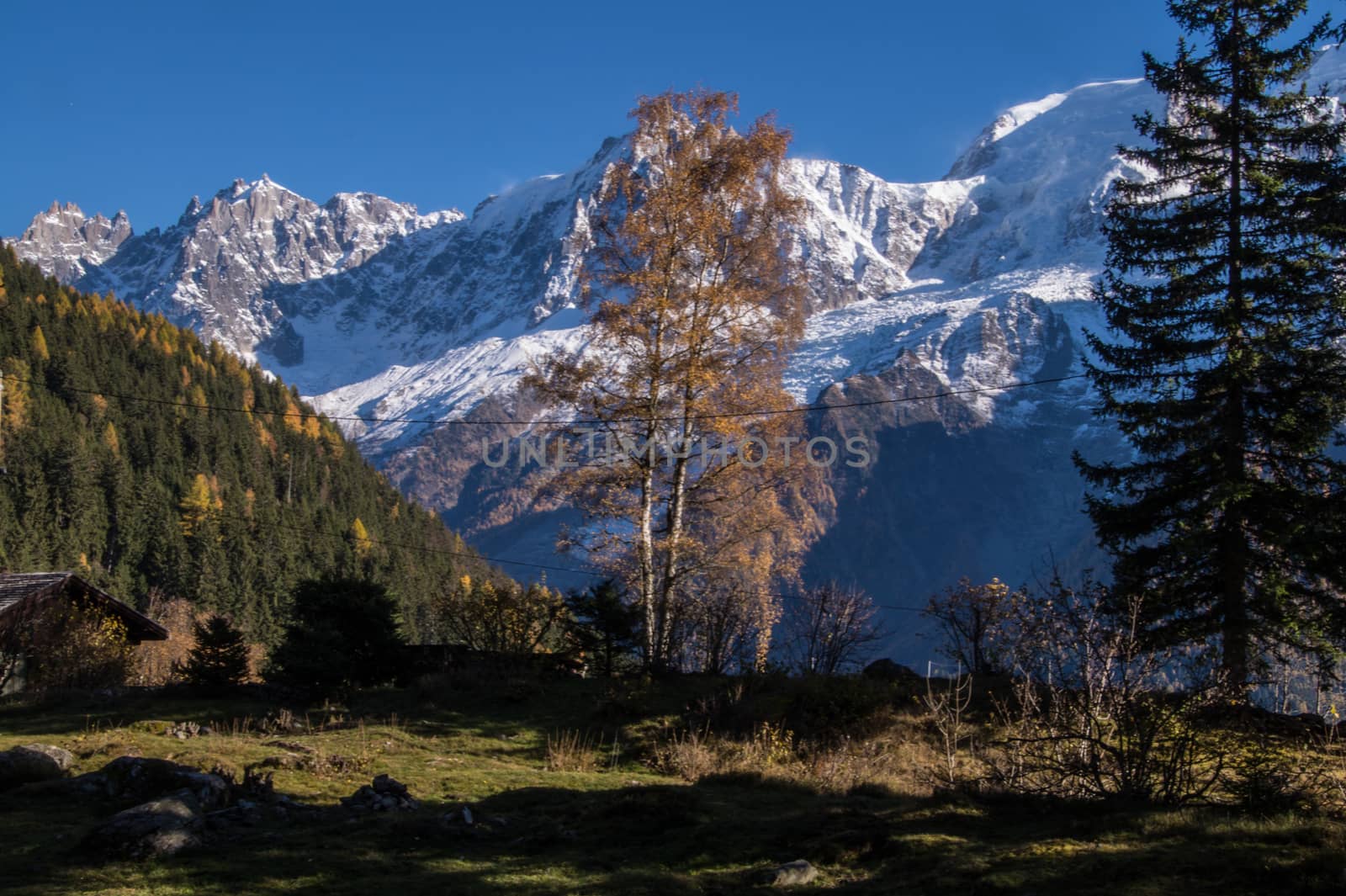 la flatiere,chamonix,haute savoie,france