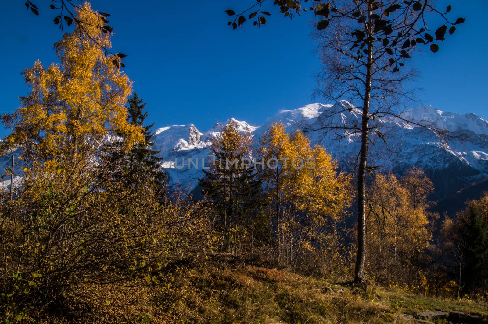 la flatiere,chamonix,haute savoie,france