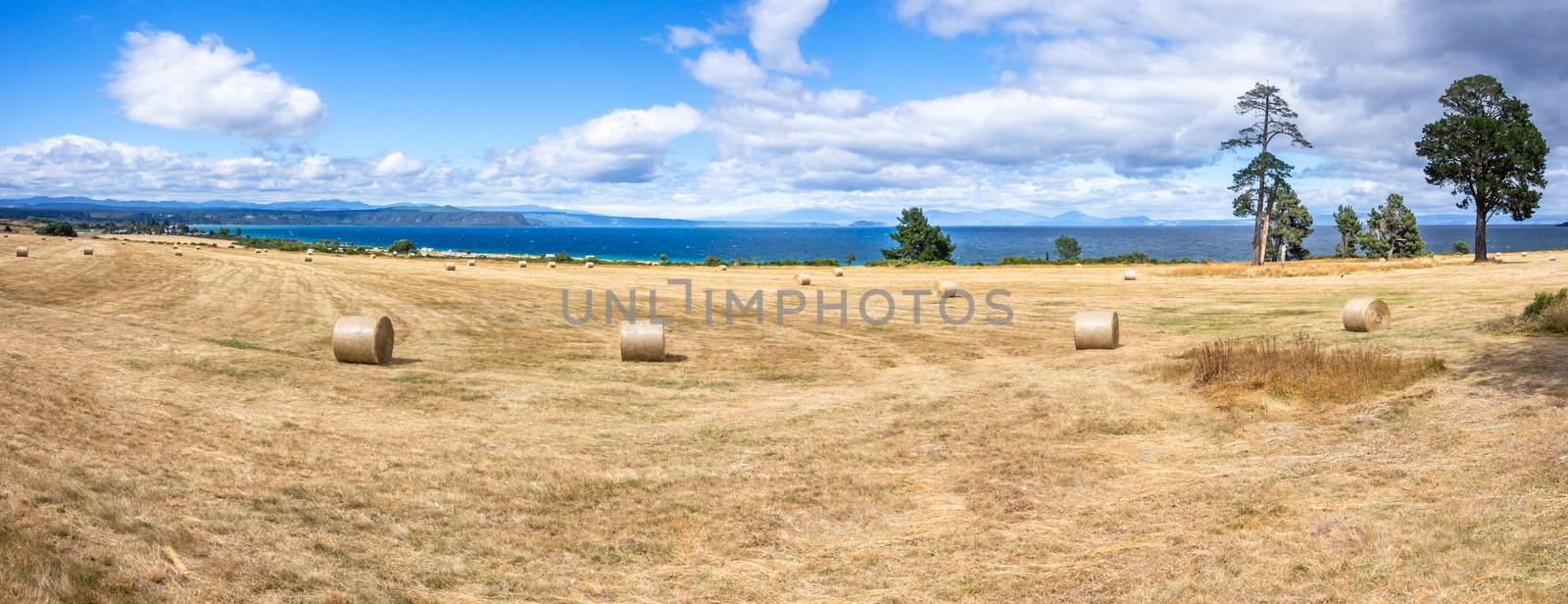 Lake Taupo New Zealand by magann